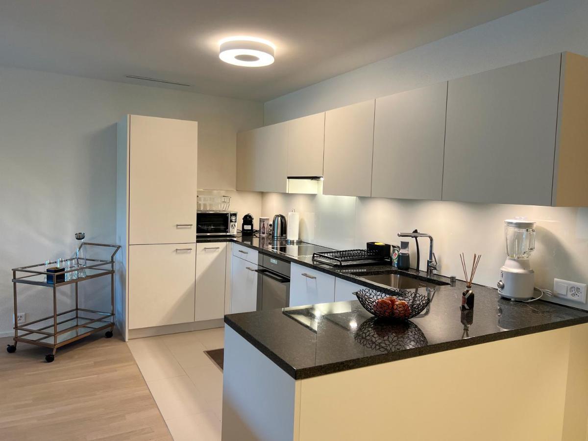 Lavish 4.5 Rooms Furnished Apartment @Glattbrugg Opfikon-Glattbrugg Екстер'єр фото